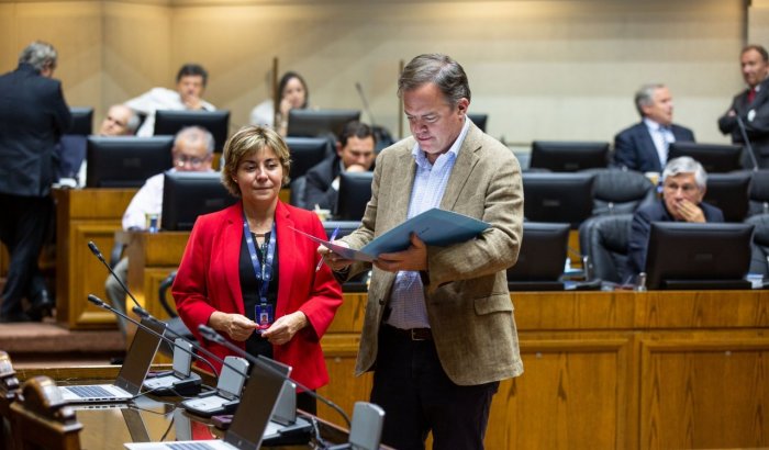 Senado nombra sus 12 integrantes para la Comisión Experta