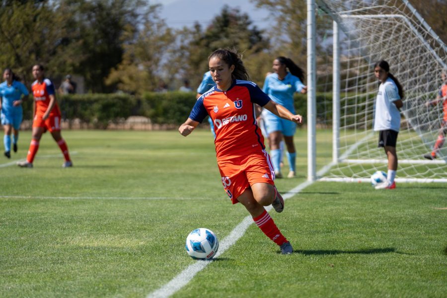 Rugieron las Leonas en Rancagua