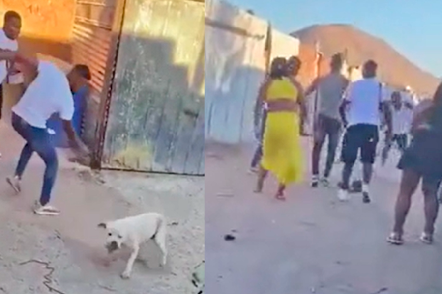 Detienen a colombiano por brutal golpiza a perro en Copiapó: Está irregular en Chile